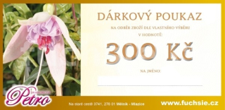 Dárkový poukaz 300