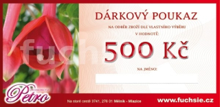 Dárkový poukaz 500