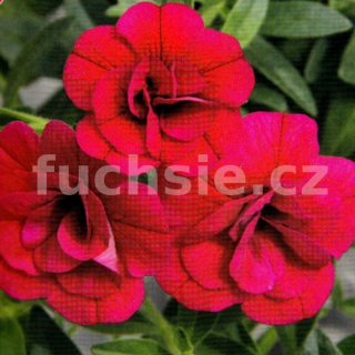 Mill. Bells-červený plný - 074P