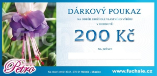 Dárkový poukaz 200
