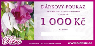 Dárkový poukaz 1000