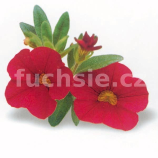 Million Bells- červený - 074