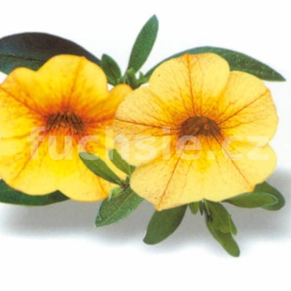 Million Bells žlutá - 075